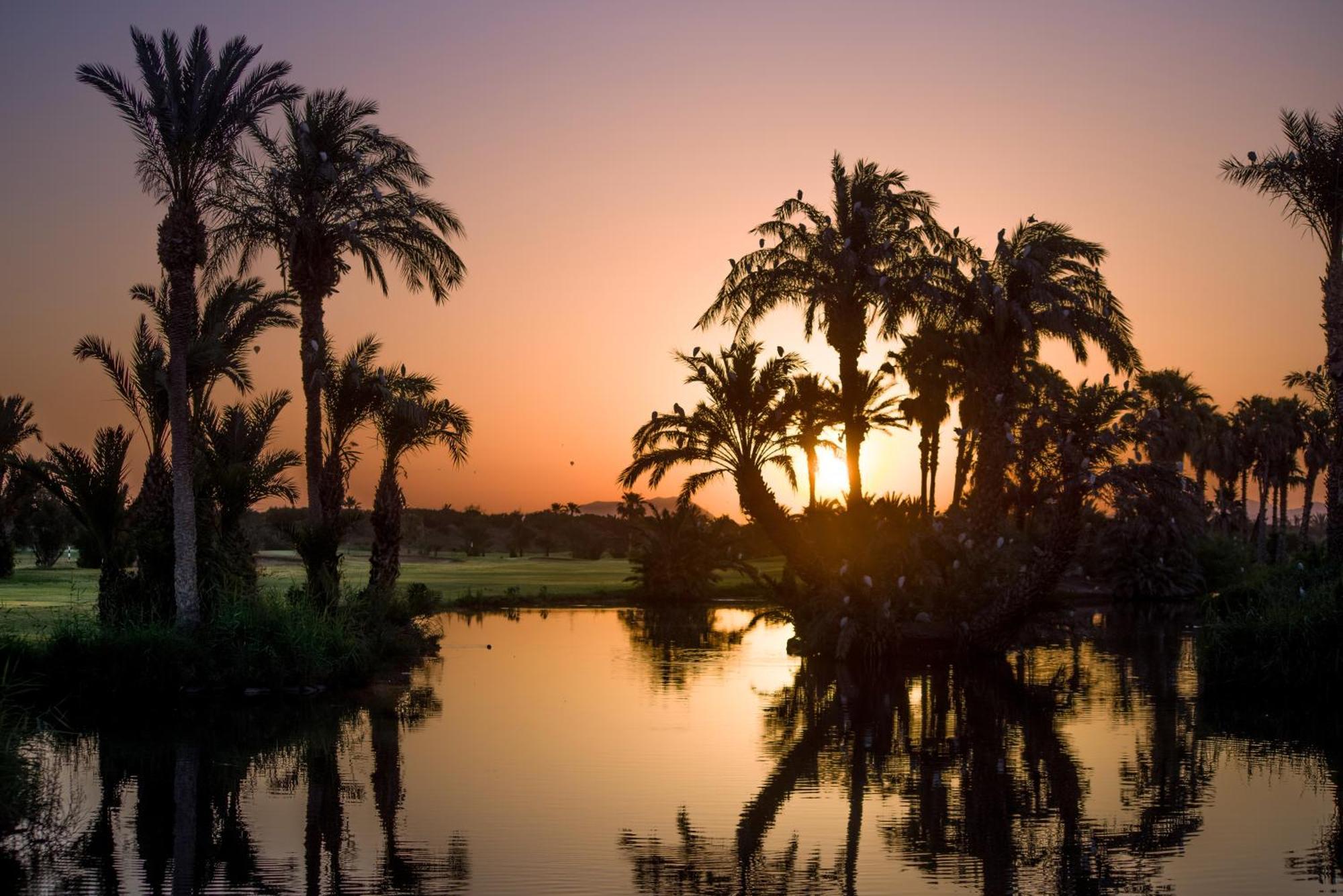 Du Golf - Marrakech (adults Only) Hotel Marrakesh